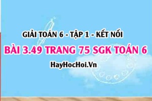 Giải bài 3.49 trang 75 Toán 6 Tập 1 SGK Kết nối tri thức